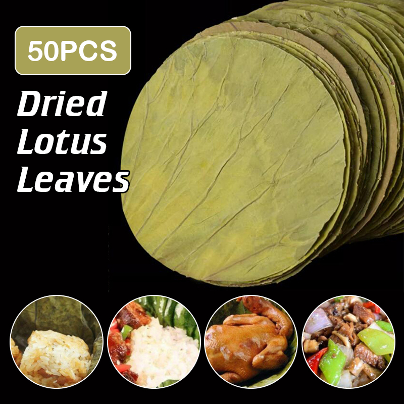 Home Cooking Recipes - 50 sztuk 22cm duże naturalne suszone